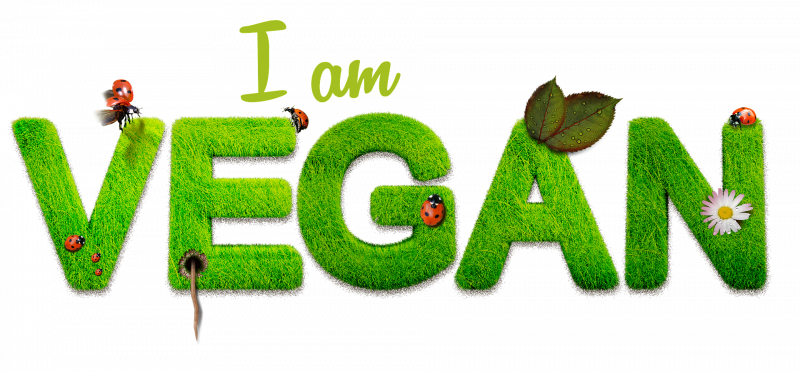 Can You Lose Weight With Just A Vegan Diet Holly Food